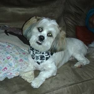 Meet your Posher, Elaina